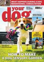 Your Dog Complete Your Collection Cover 1