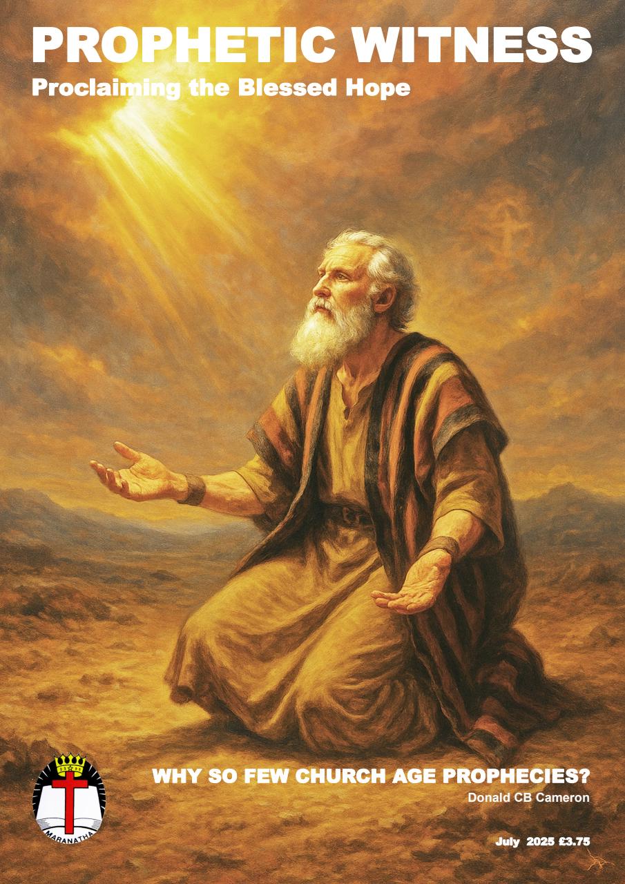 Prophetic Witness Preview Pages