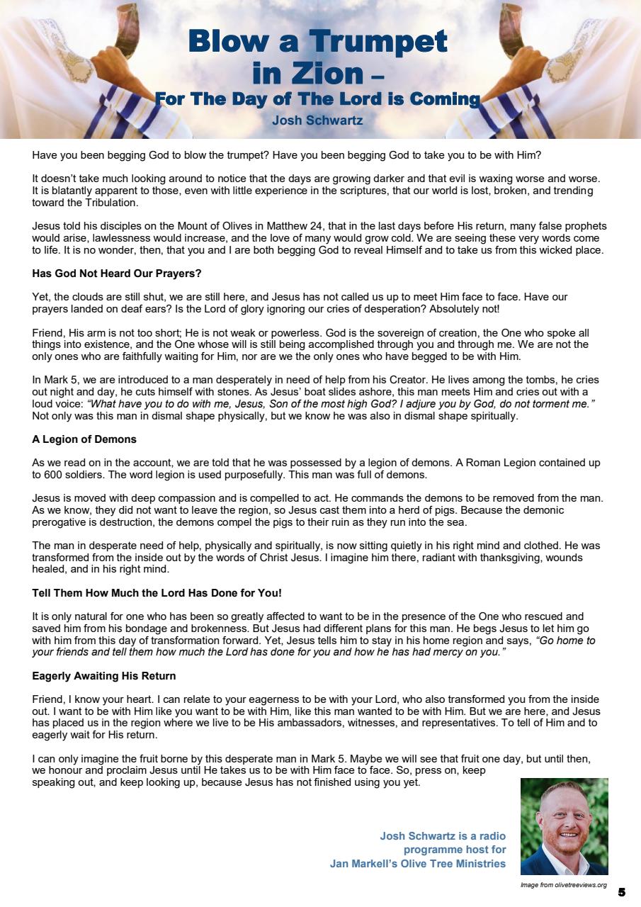 Prophetic Witness Preview Pages