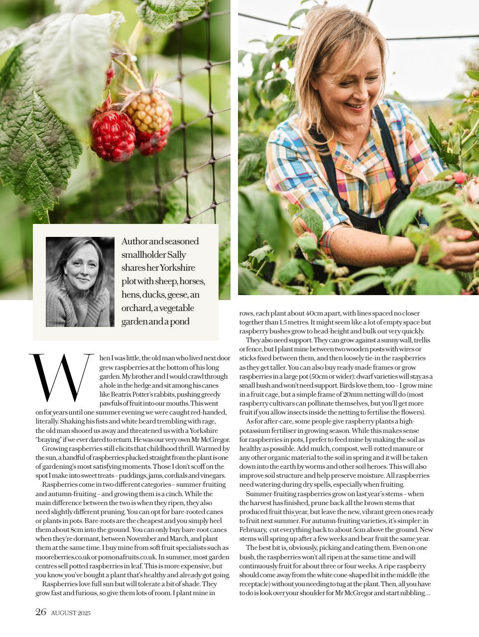 Country Living Preview Pages