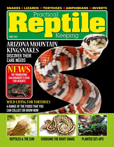 Practical Reptile Keeping issue 