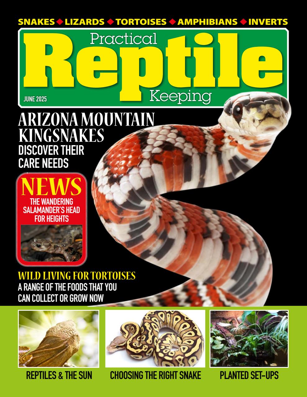Practical Reptile Keeping Preview Pages