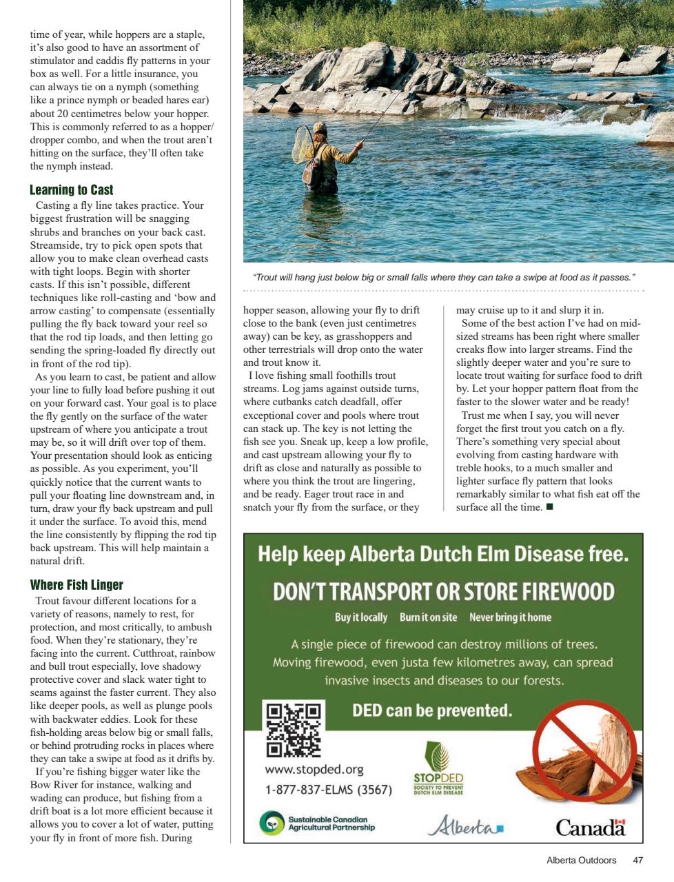 Alberta Outdoors Preview Pages