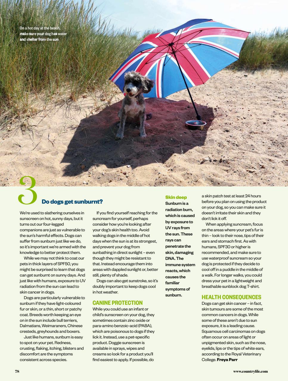 BBC Countryfile Magazine Preview Pages