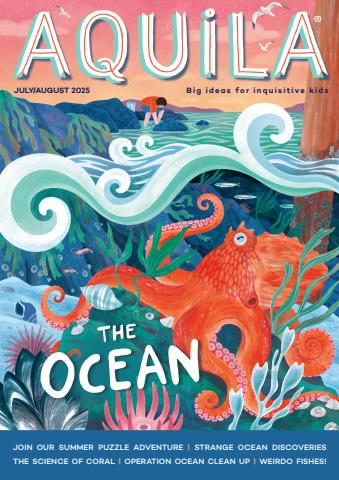 Aquila issue The Ocean