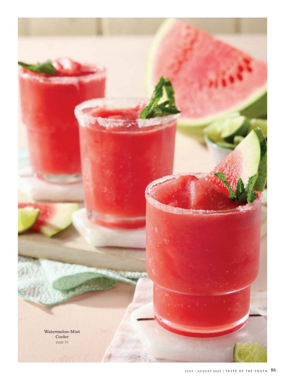 Taste of the South Preview Pages