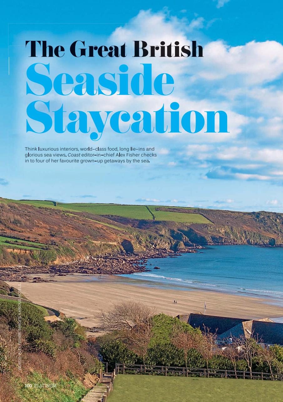 Platinum Preview Pages