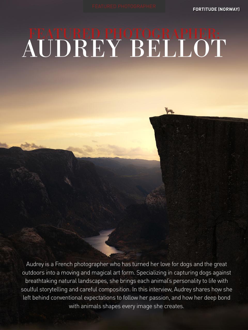 Photography Masterclass Magazine Preview Pages