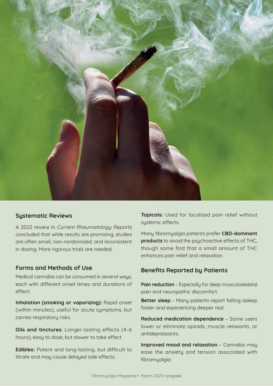 Fibromyalgia Magazine Preview Pages