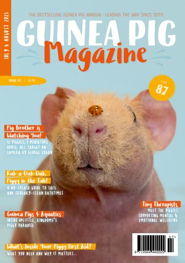 Guinea Pig Magazine issue 