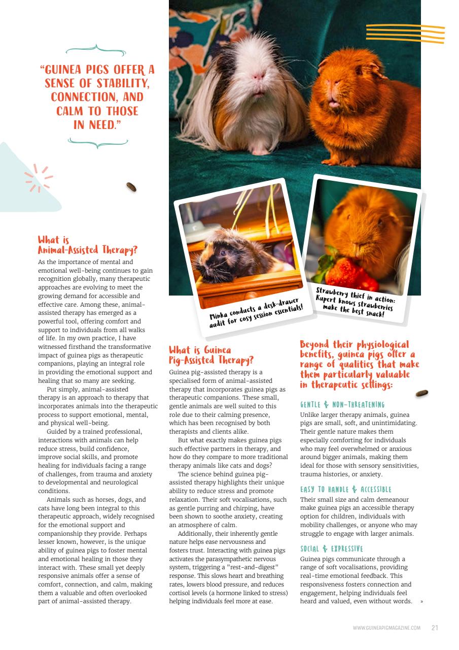 Guinea Pig Magazine Preview Pages