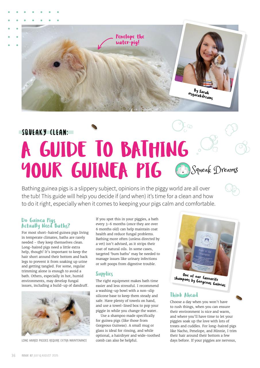 Guinea Pig Magazine Preview Pages