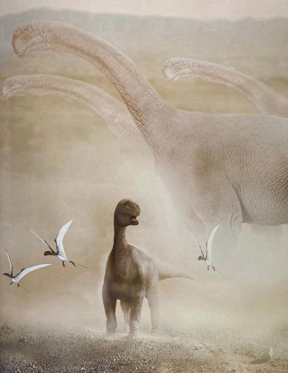 Prehistoric Times Preview Pages