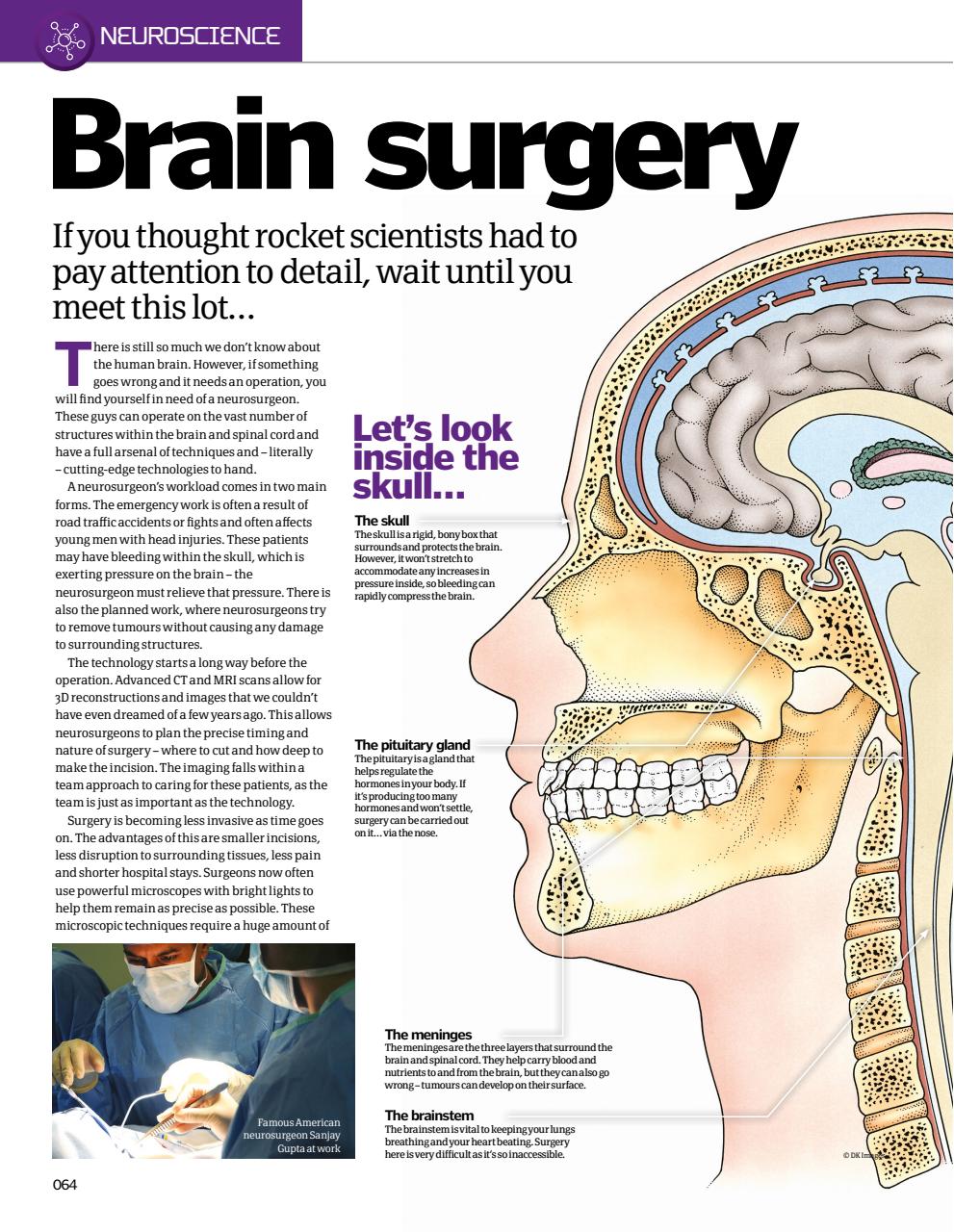 How It Works Bookazine Preview Pages