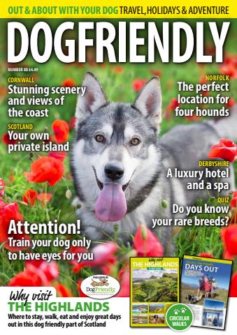 Dog Friendly issue May-Jun 25