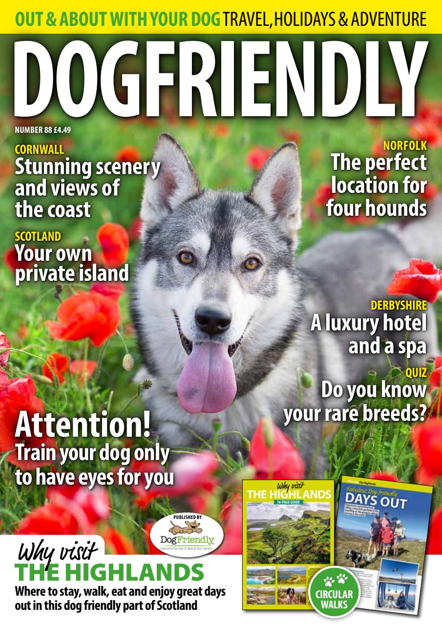 Dog Friendly Preview Pages
