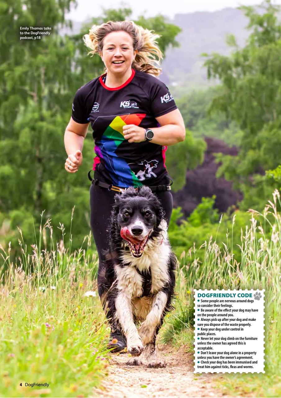 Dog Friendly Preview Pages