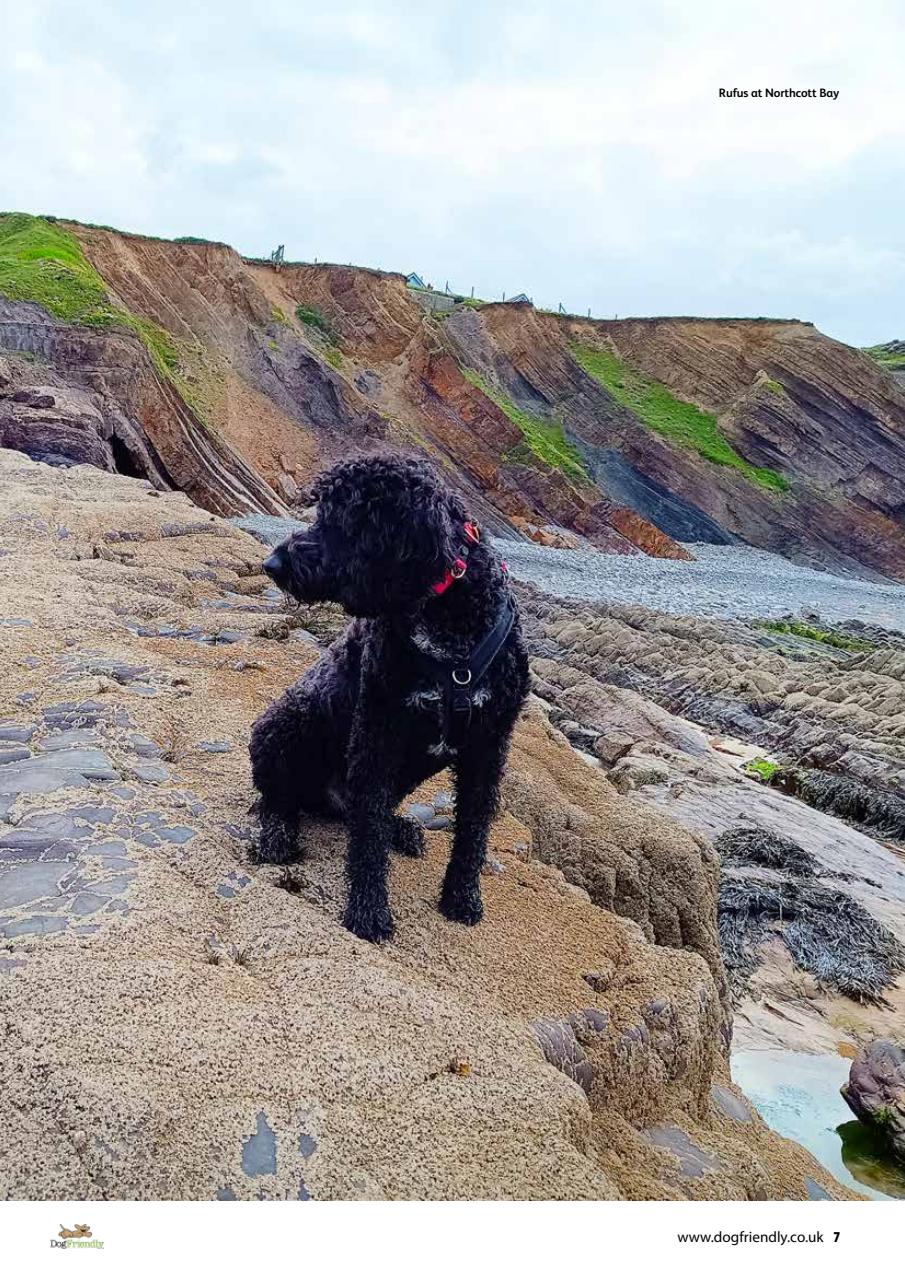 Dog Friendly Preview Pages