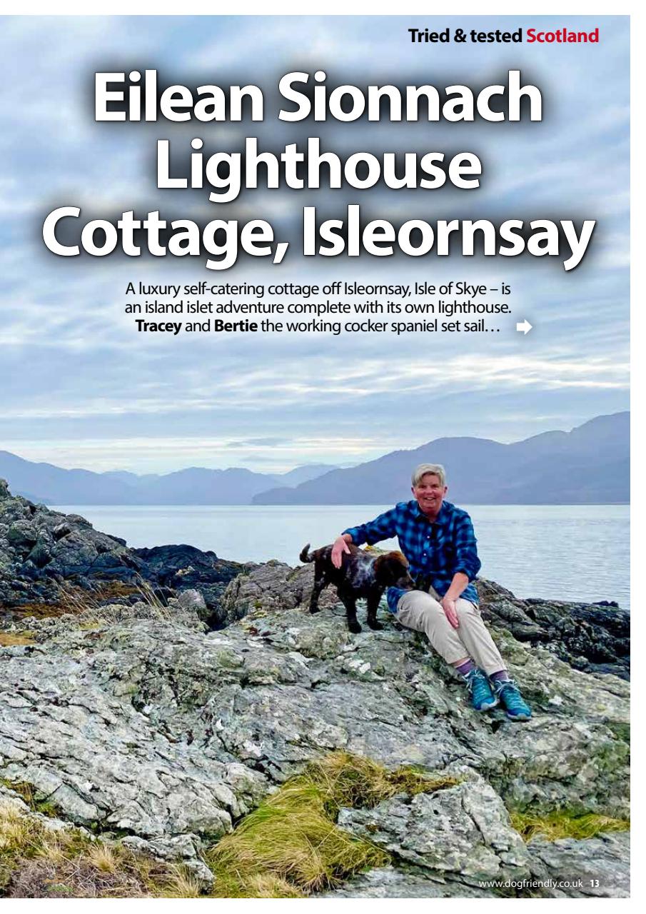 Dog Friendly Preview Pages