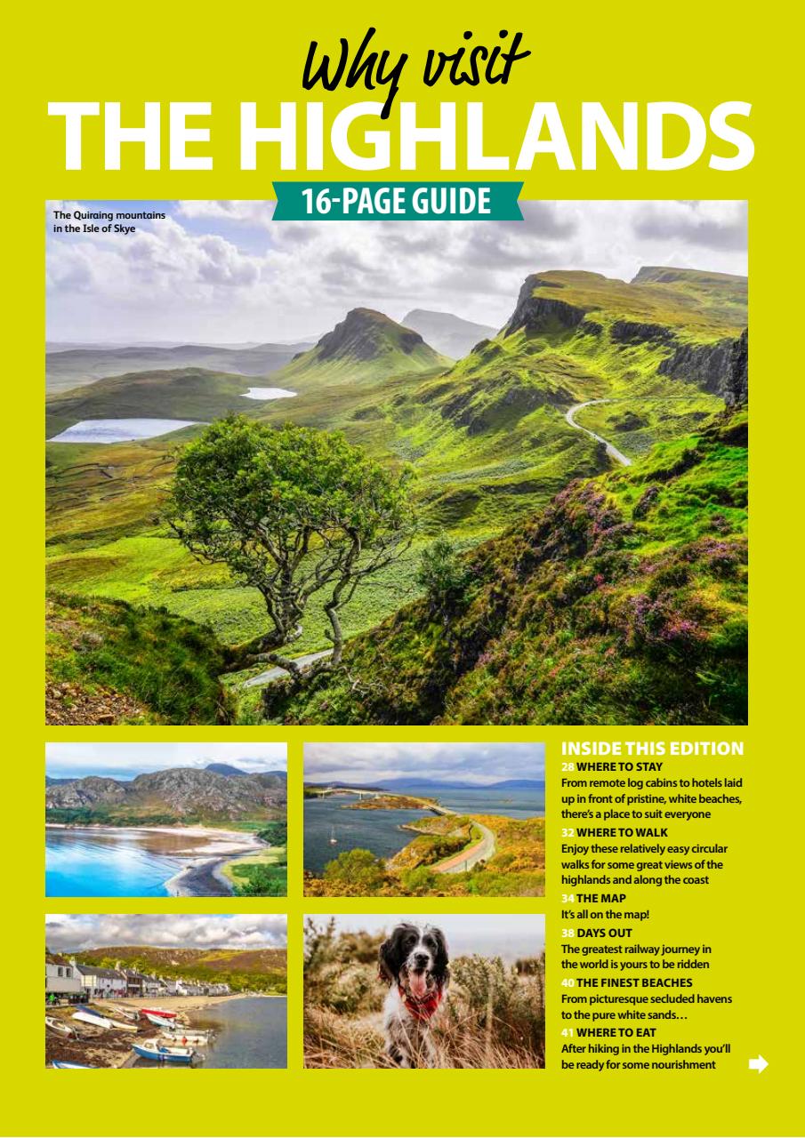 Dog Friendly Preview Pages