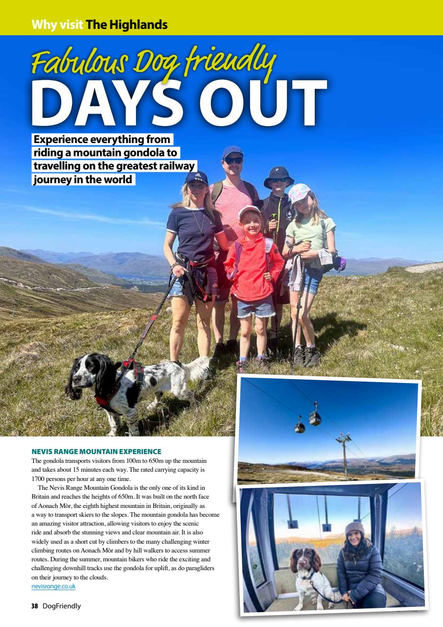 Dog Friendly Preview Pages