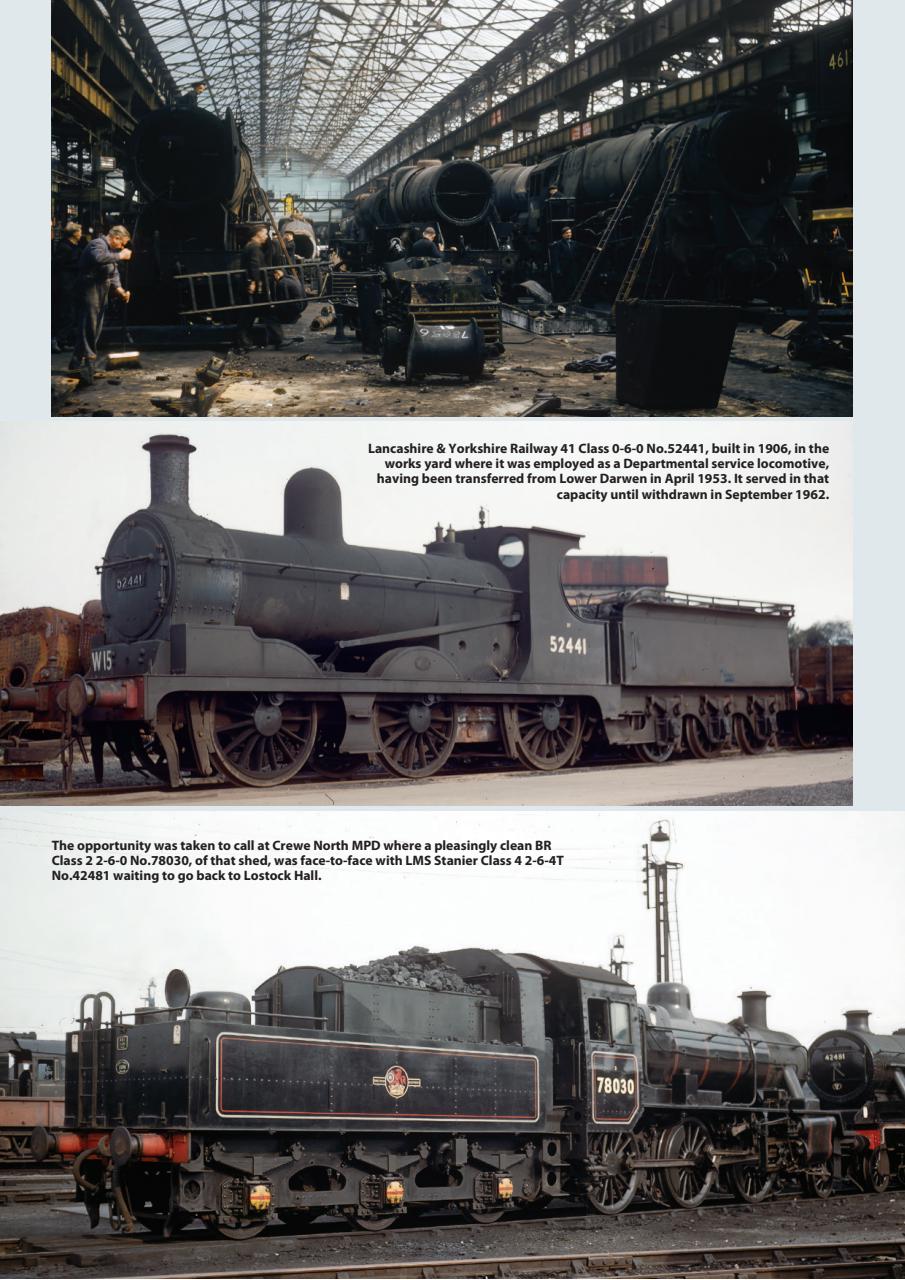 Backtrack Preview Pages