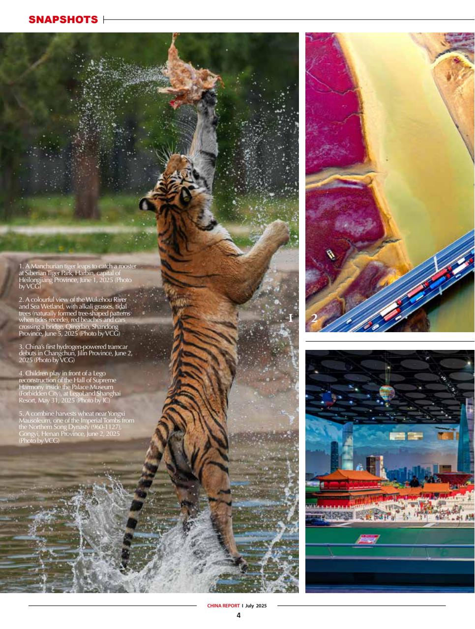 China Report Preview Pages