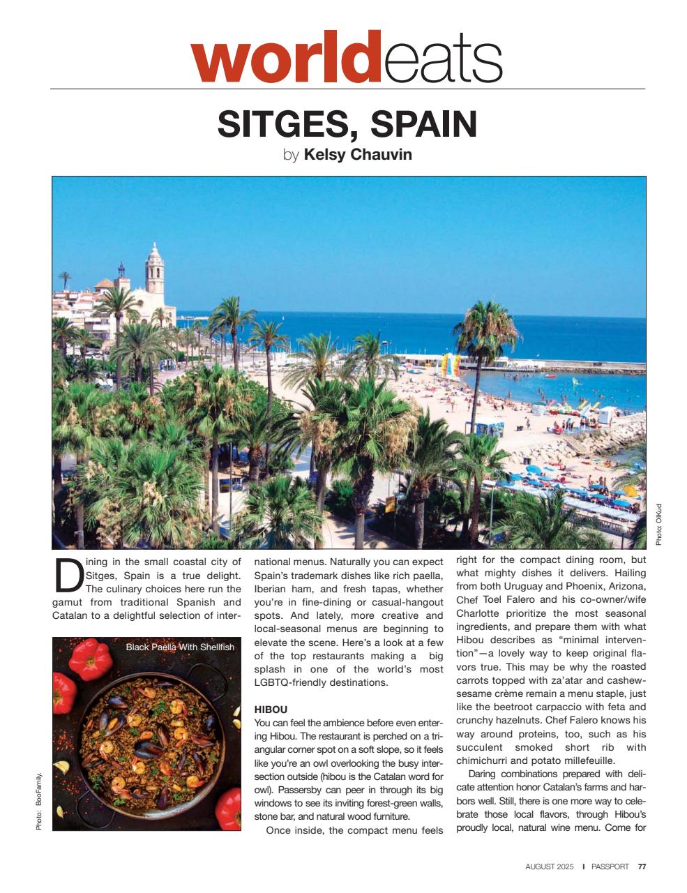 Passport Preview Pages