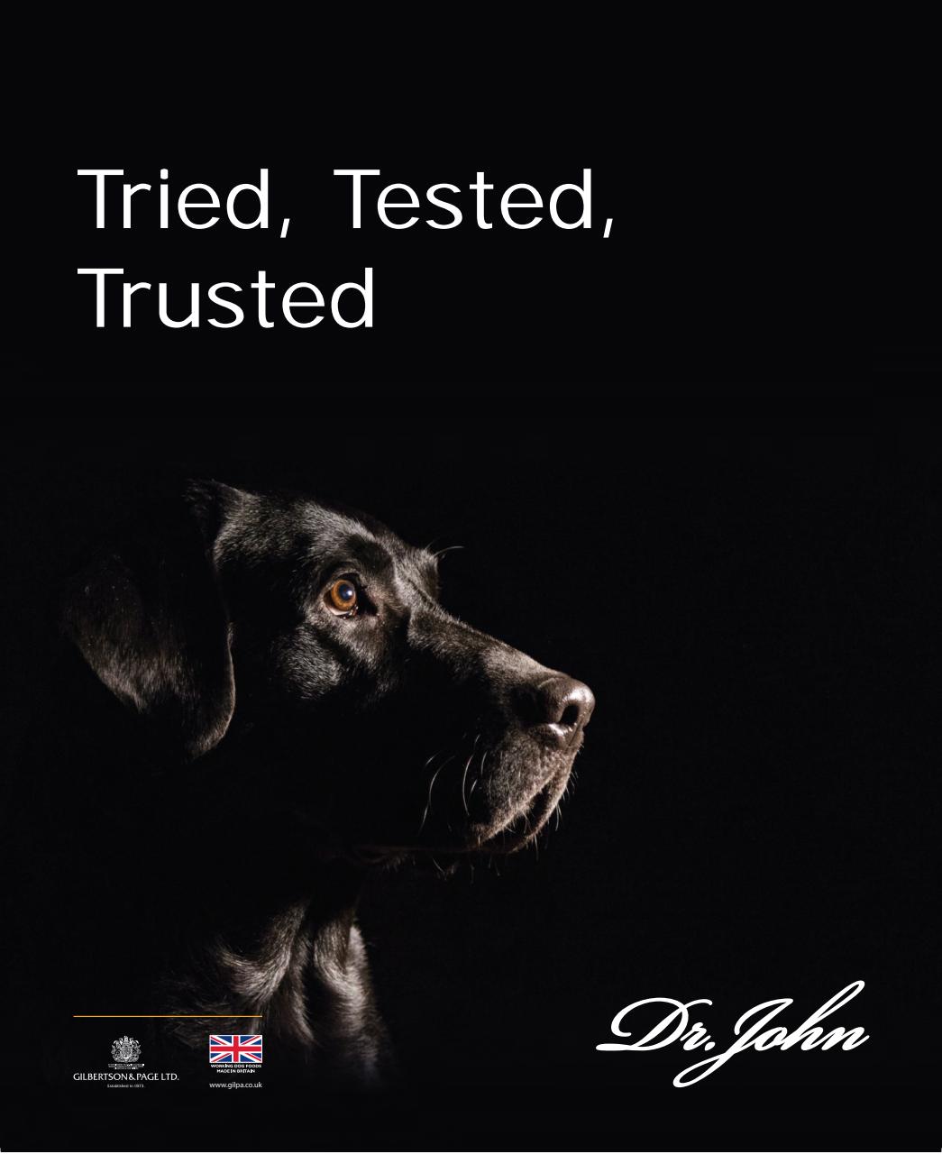 Gundog Journal Preview Pages