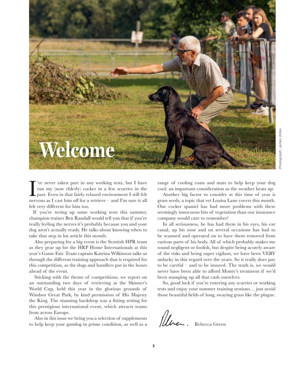 Gundog Journal Preview Pages