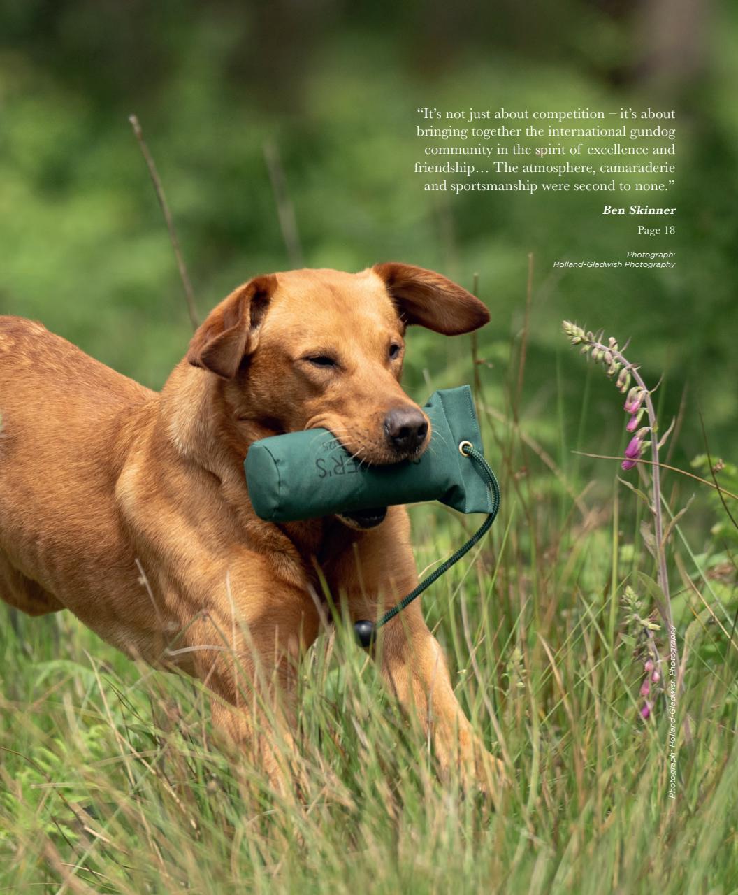 Gundog Journal Preview Pages