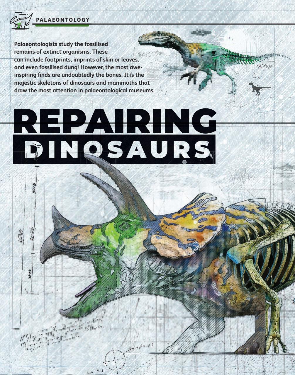 OYLA Magazine Preview Pages