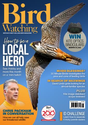 Bird Watching issue Aug-25