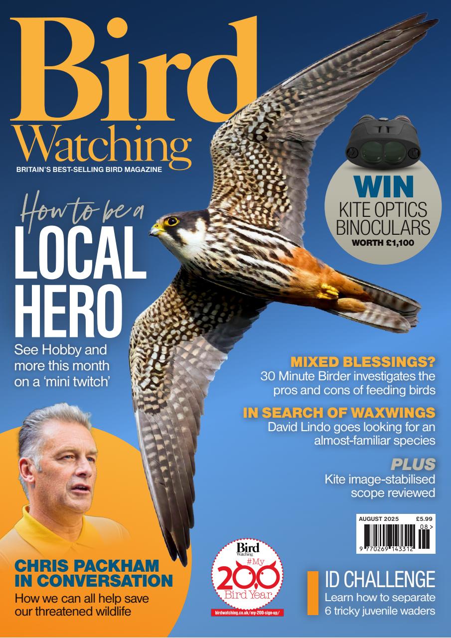 Bird Watching Preview Pages