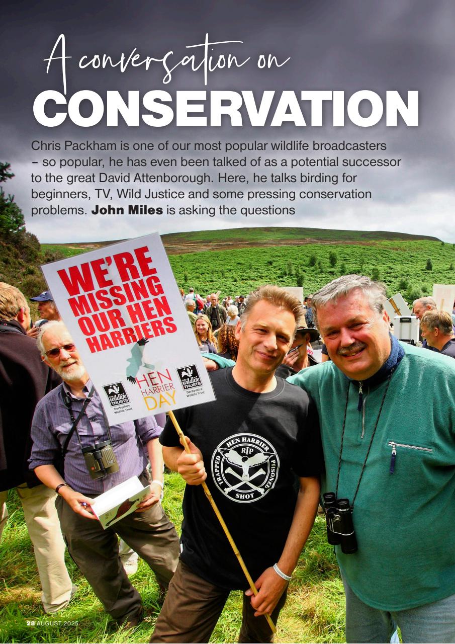 Bird Watching Preview Pages