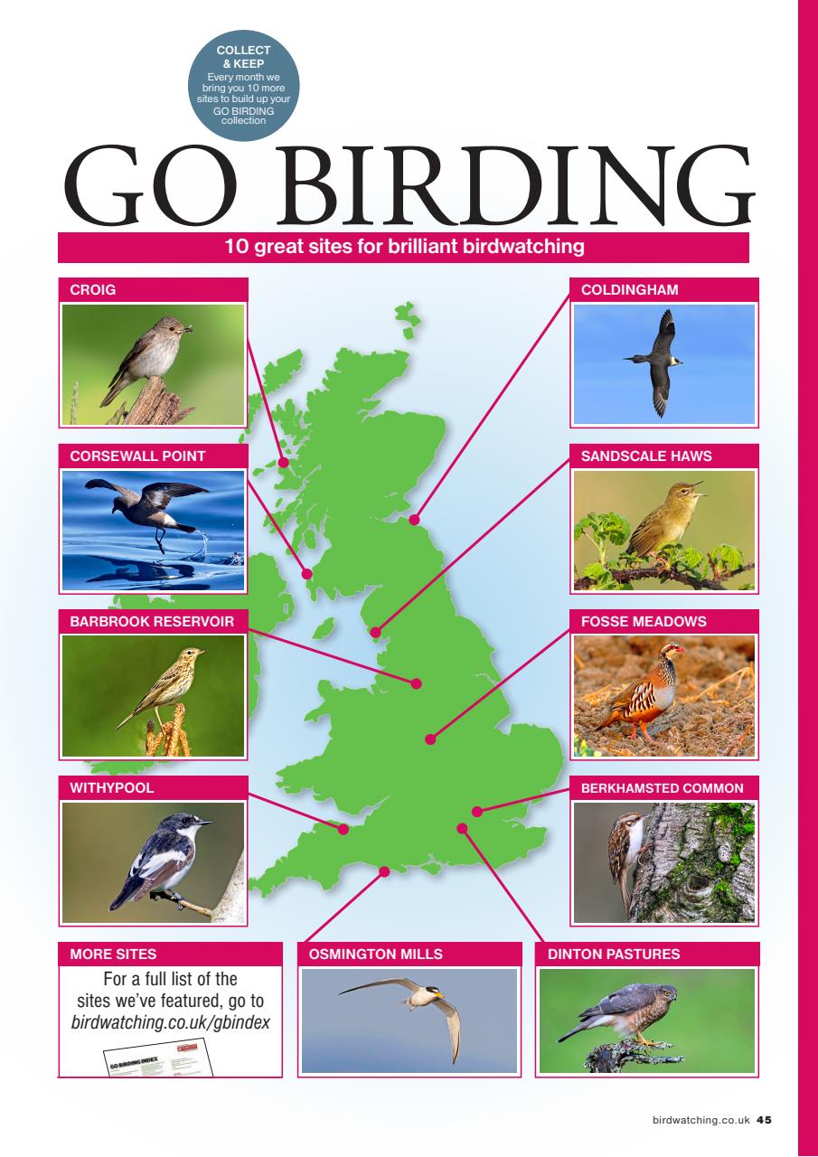 Bird Watching Preview Pages