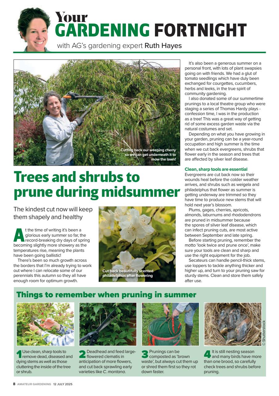 Amateur Gardening Preview Pages