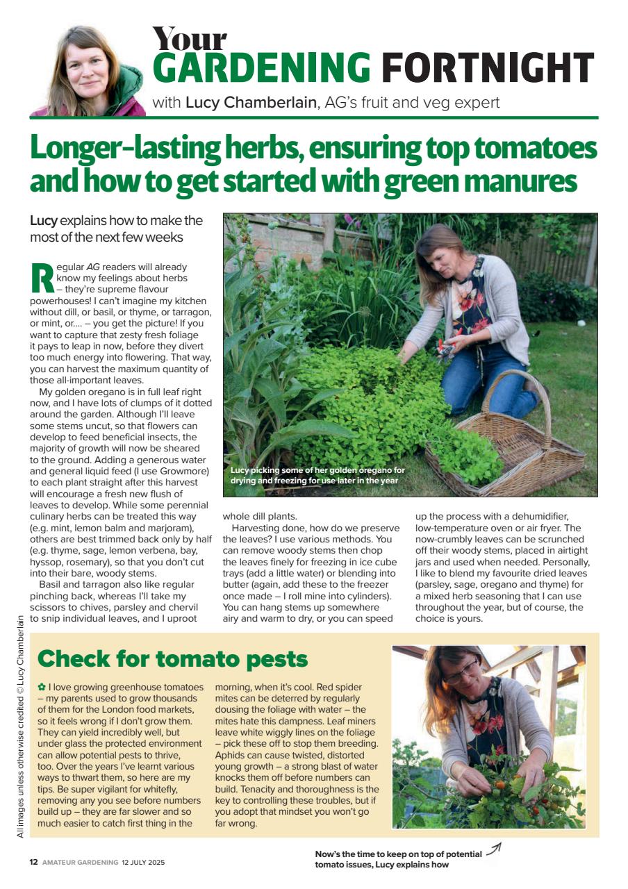 Amateur Gardening Preview Pages