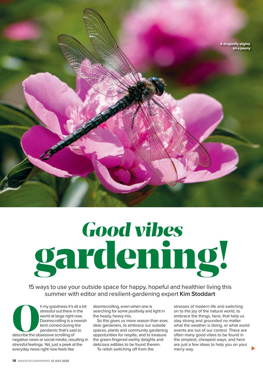 Amateur Gardening Preview Pages