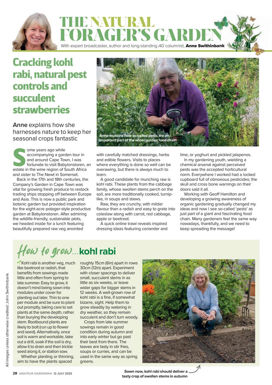 Amateur Gardening Preview Pages