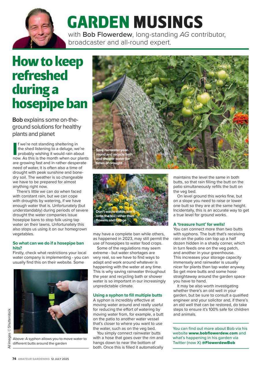 Amateur Gardening Preview Pages