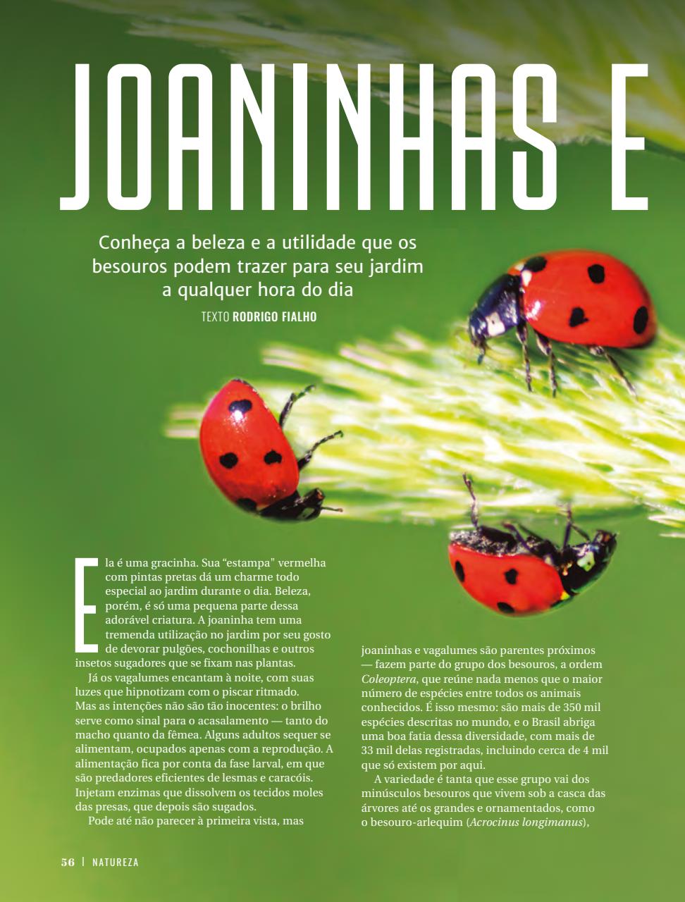 Natureza Preview Pages