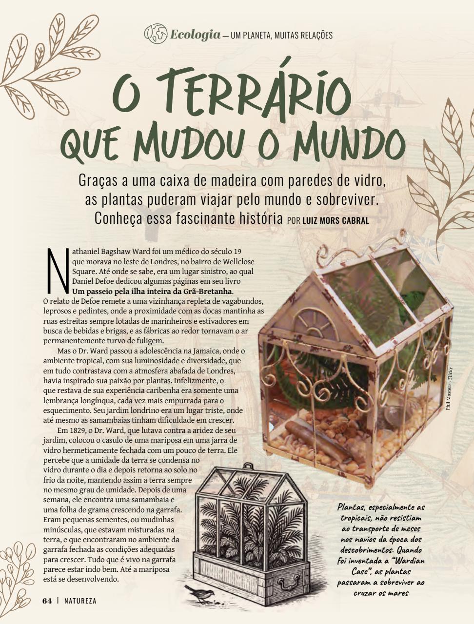 Natureza Preview Pages