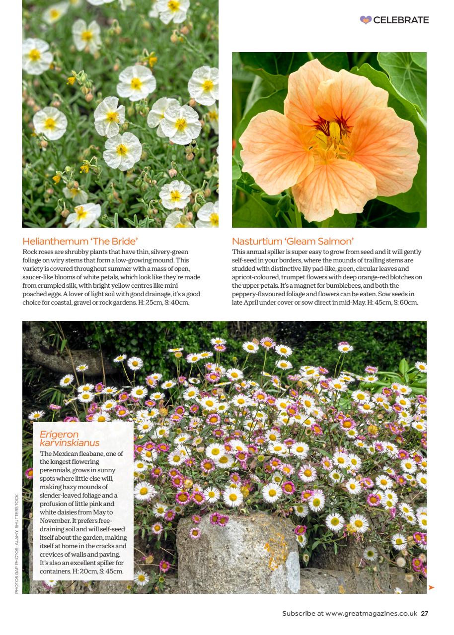 Garden Answers Preview Pages