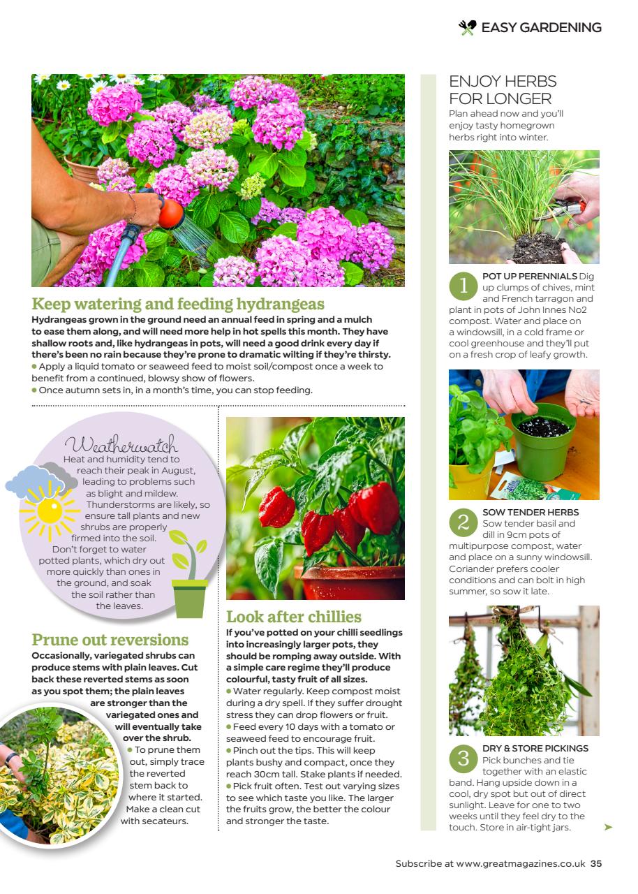 Garden Answers Preview Pages