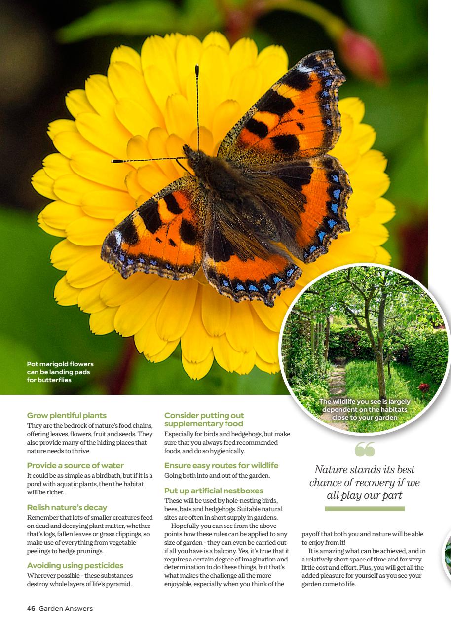 Garden Answers Preview Pages