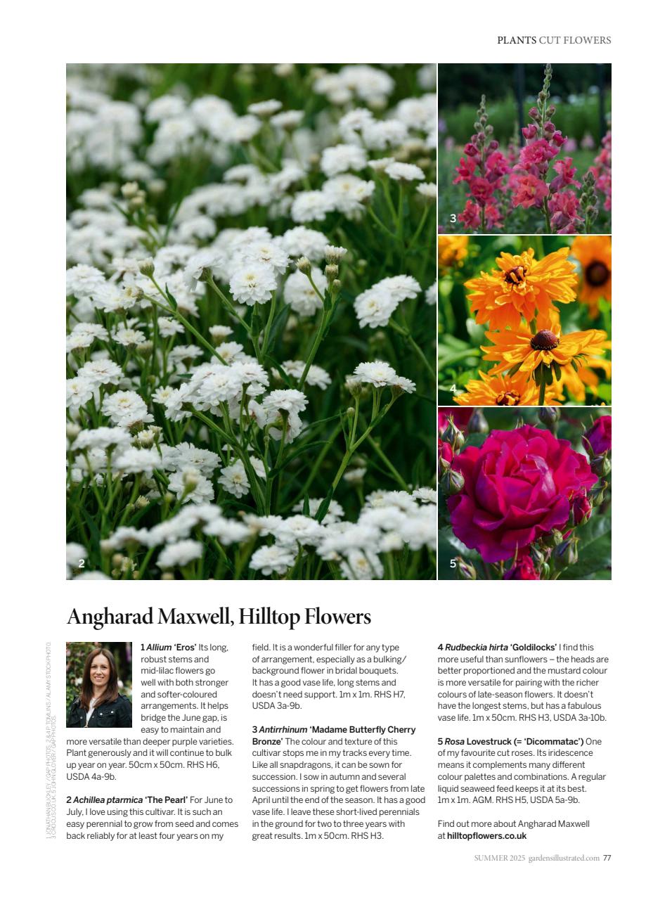 Gardens Illustrated Preview Pages