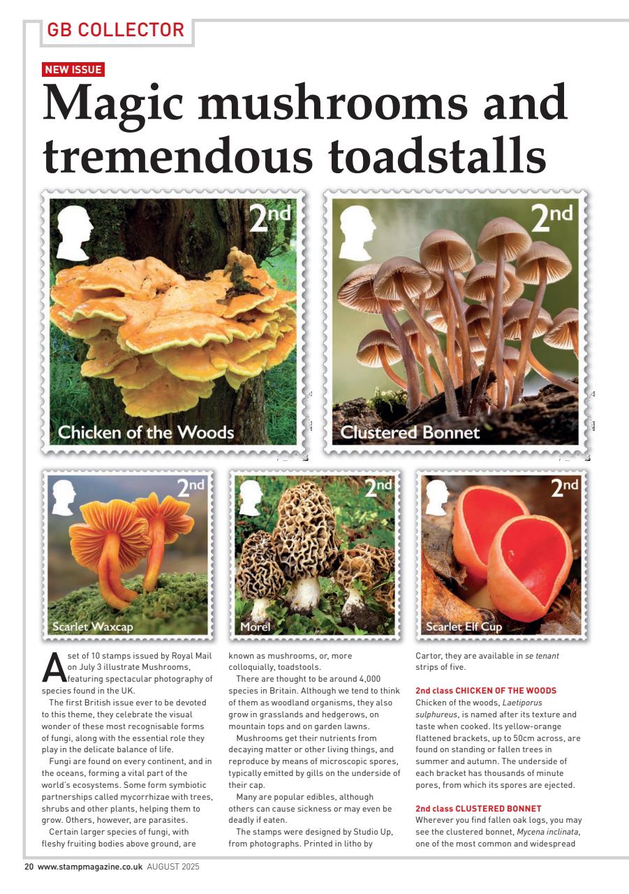 Stamp Magazine Preview Pages