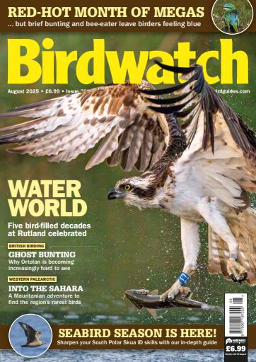Birdwatch Magazine issue 