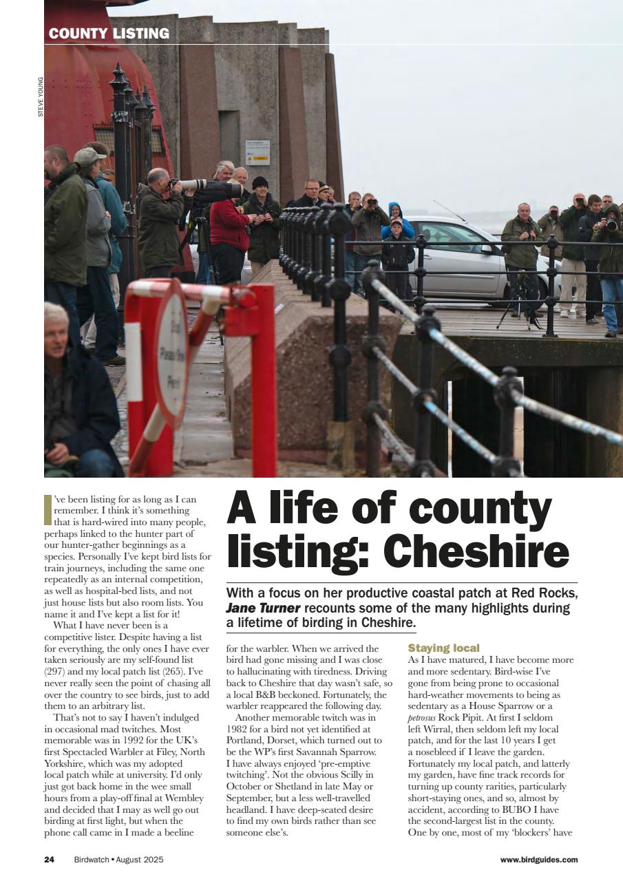 Birdwatch Magazine Preview Pages